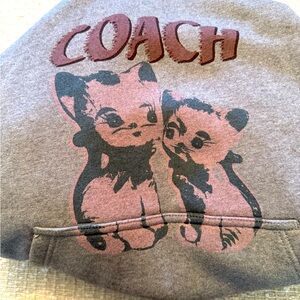 The Lil Nas X Drop Cats  Pullover Hoodie